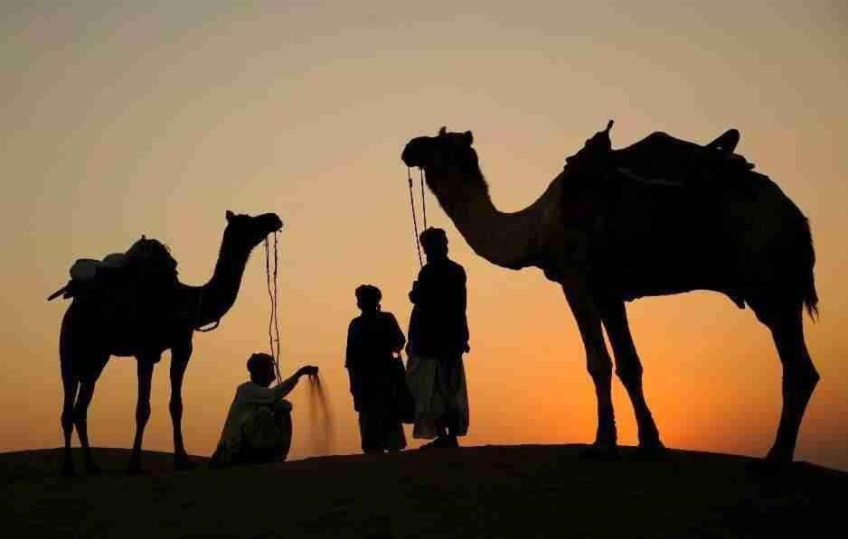 The Mama'S Resort & Camp Jaisalmer Zewnętrze zdjęcie